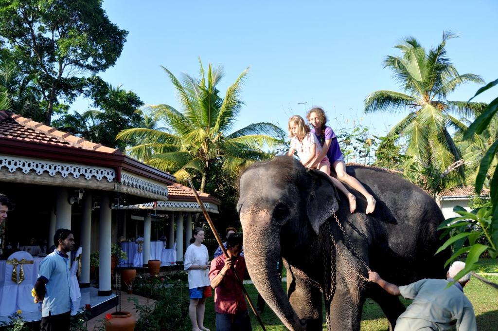 Bougain Villa Bentota Esterno foto