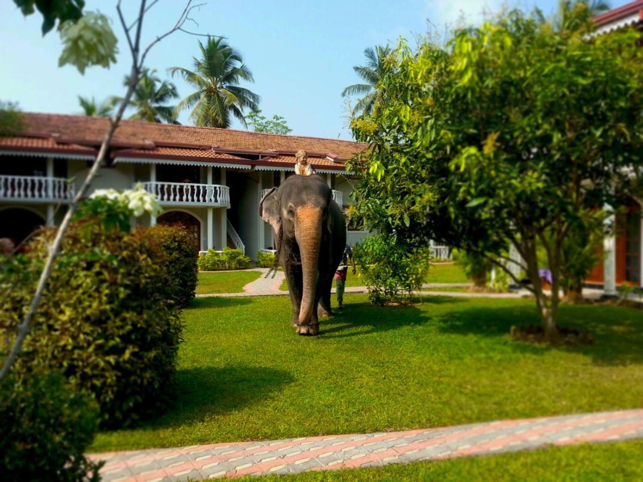 Bougain Villa Bentota Esterno foto